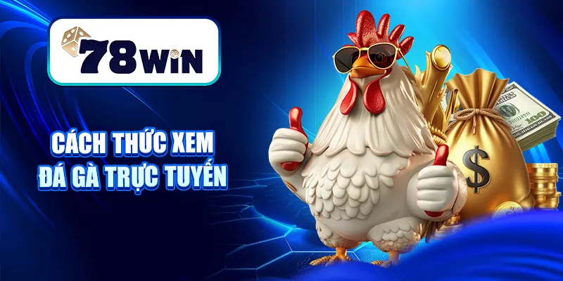Cách thức xem đá gà trực tuyến